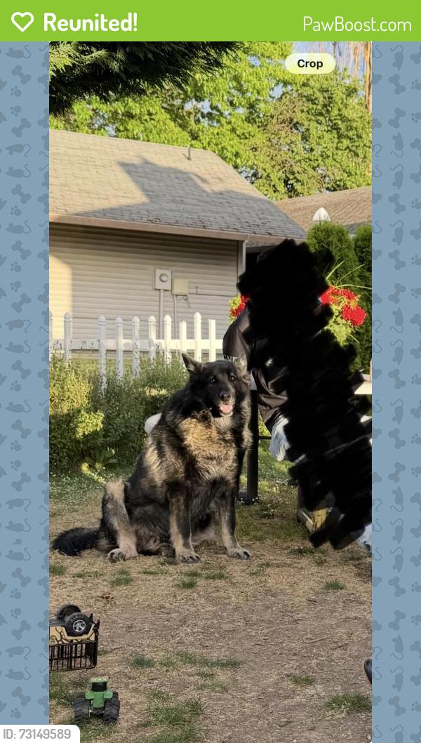Reunited Male Dog last seen 4th st by Neil Armstrong Middle School, Cornelius, OR 97113