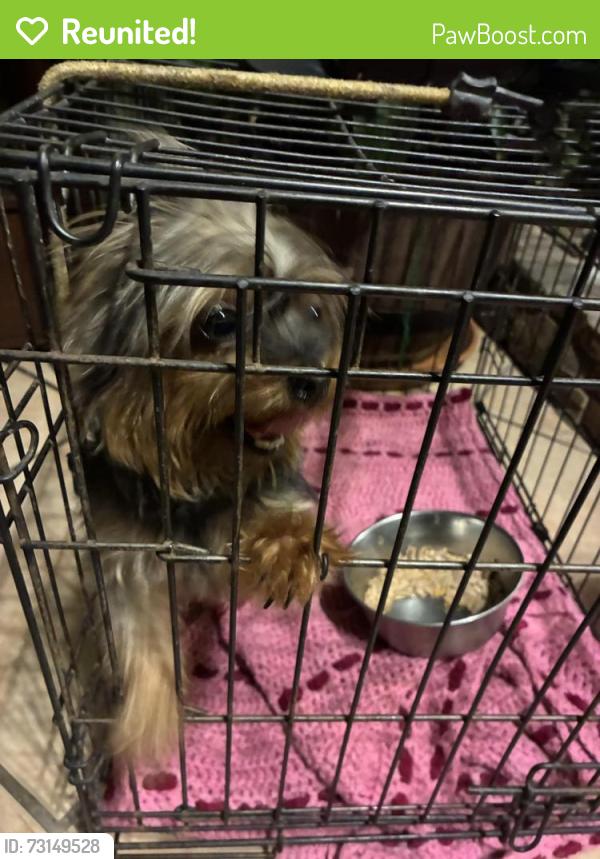 Reunited Unknown Dog last seen Sage and 94th St SW, Albuquerque, NM 87121