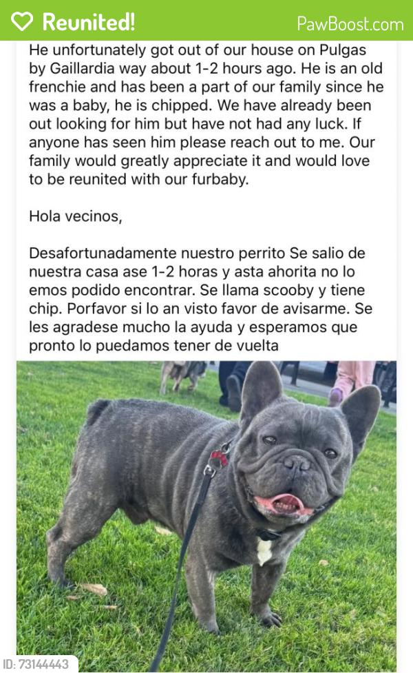 Reunited Male Dog last seen Pulgas & Gaillardia way, East Palo Alto, CA 94303