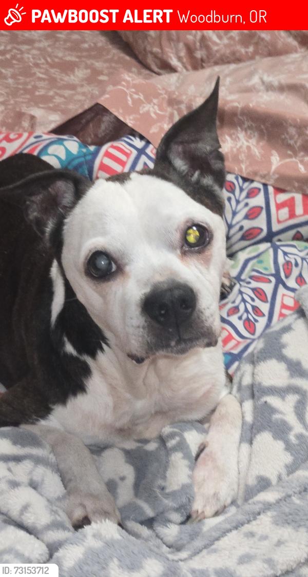 Lost Female Dog last seen Wiodburn senior ests dog park/Umpqua, Woodburn, OR 97071
