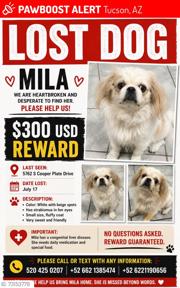 Lost Female Dog last seen Cooper plate, Tucson, AZ 85710