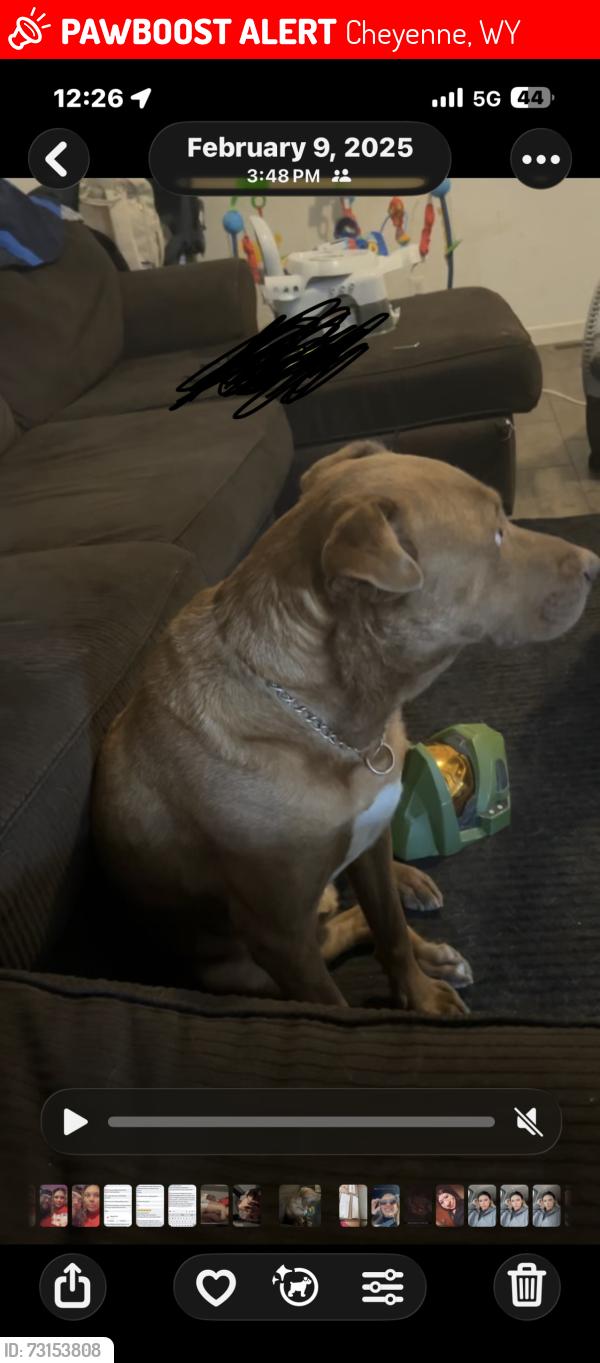 Lost Male Dog last seen Fox farm, Cheyenne, WY 82007