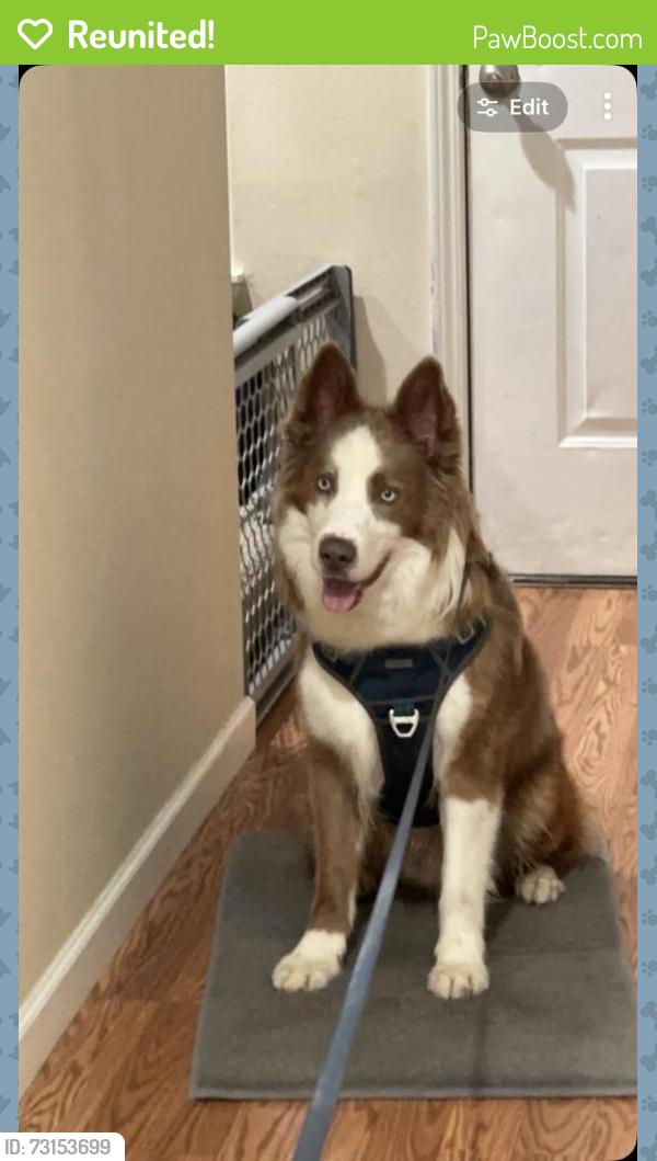 Reunited Male Dog last seen Near se 193 ave, Portland, OR 97233
