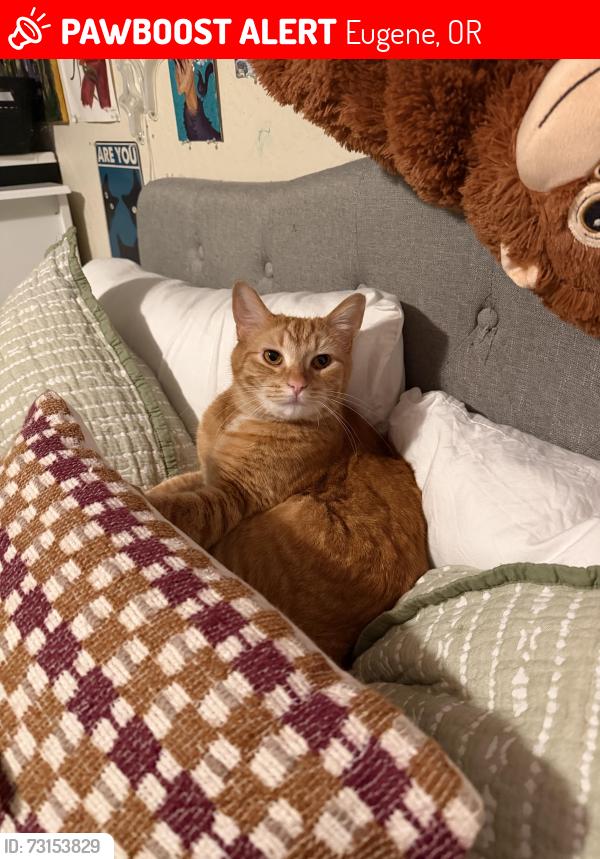 Lost Male Cat last seen Polk & 4th, Eugene, OR 97402