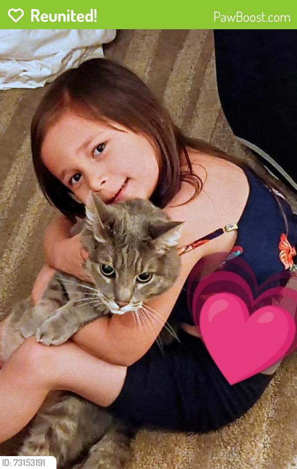 Reunited Male Cat last seen Pulgas, East Palo Alto, CA 94303
