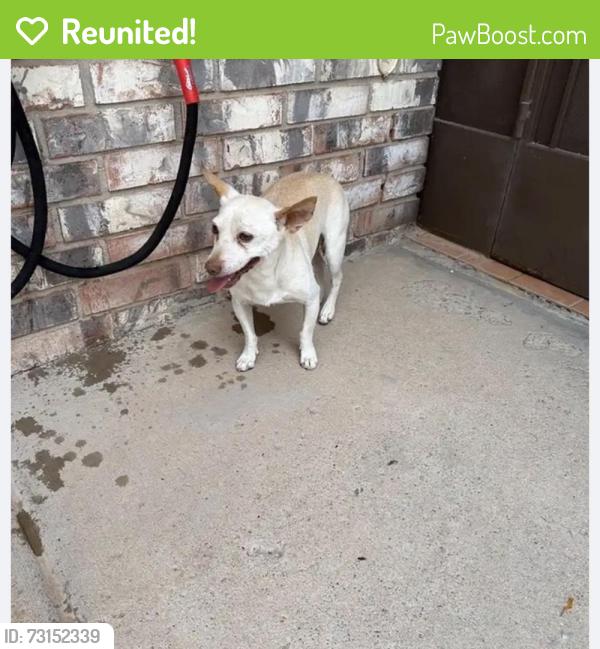 Reunited Male Dog last seen Near Carlos Bombach Ave, El Paso, TX 79928, USA, El Paso, TX 79928