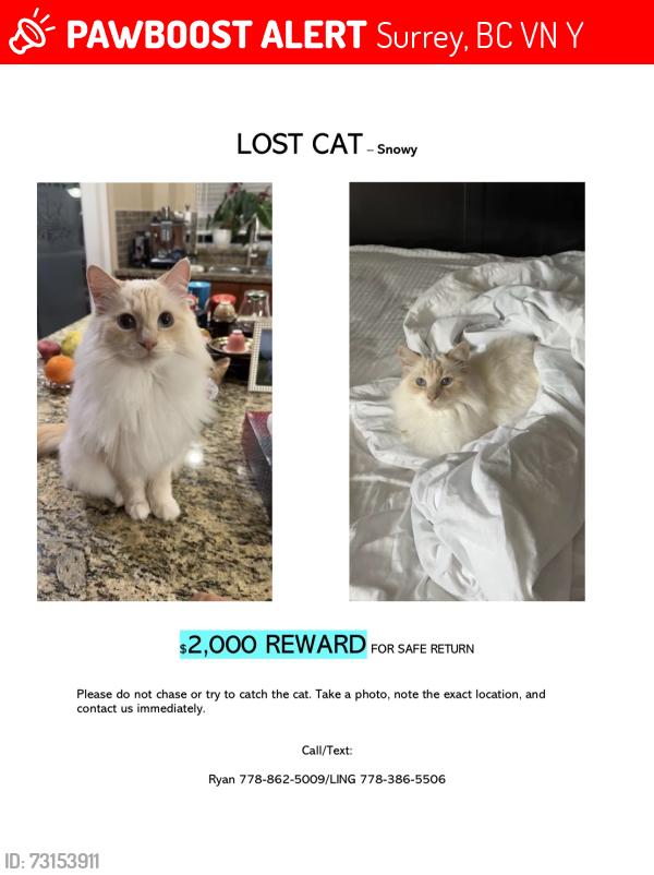Lost Female Cat last seen Fraser view dog off leash area, Surrey, BC V4N 4Y1