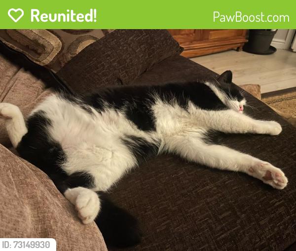 Reunited Male Cat last seen Simpson's Primary School, West Lothian, Scotland EH48 2UQ