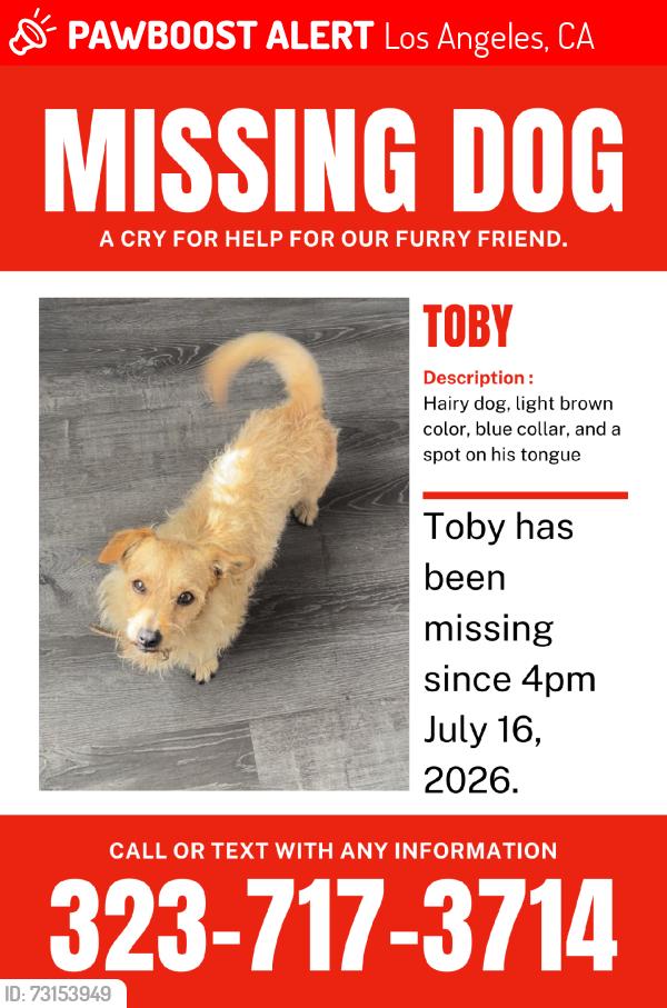 Lost Male Dog last seen He went into an Alley of this street around 2pm, Los Angeles, CA 90001
