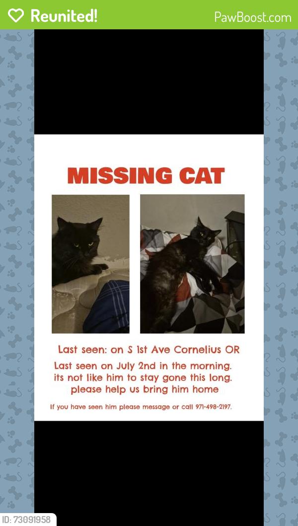 Reunited Male Cat last seen Heather st, Cornelius, OR 97113