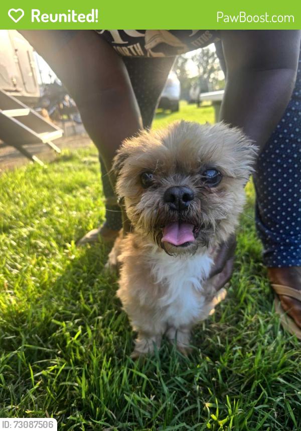 Reunited Male Dog last seen Garfield Ave, Dell Rapids, SD 57022