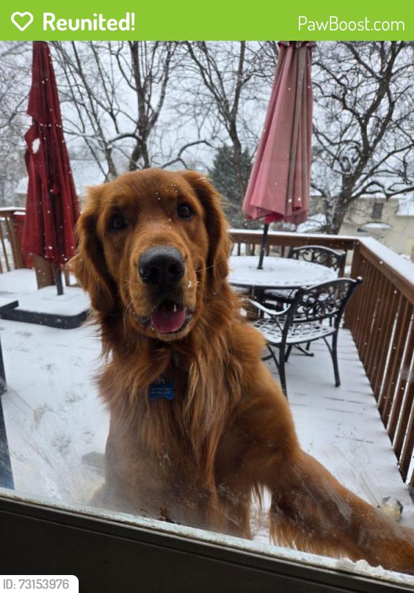 Reunited Male Dog last seen Near Beecarter Rd, Dandridge, TN 37725, USA, Dandridge, TN 37725