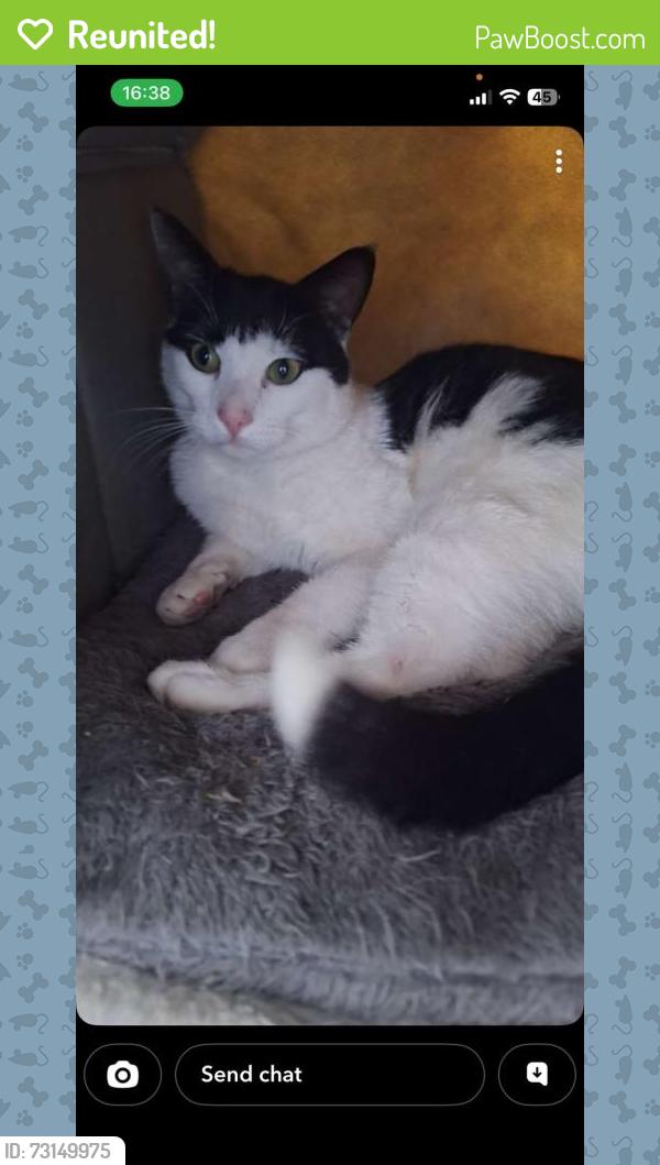 Reunited Male Cat last seen Morrisons granton, Edinburgh, Scotland 