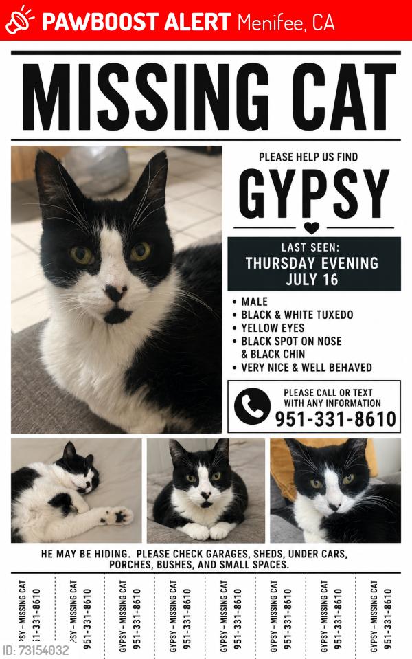 Lost Male Cat last seen Murrieta rd, Menifee, CA 92586