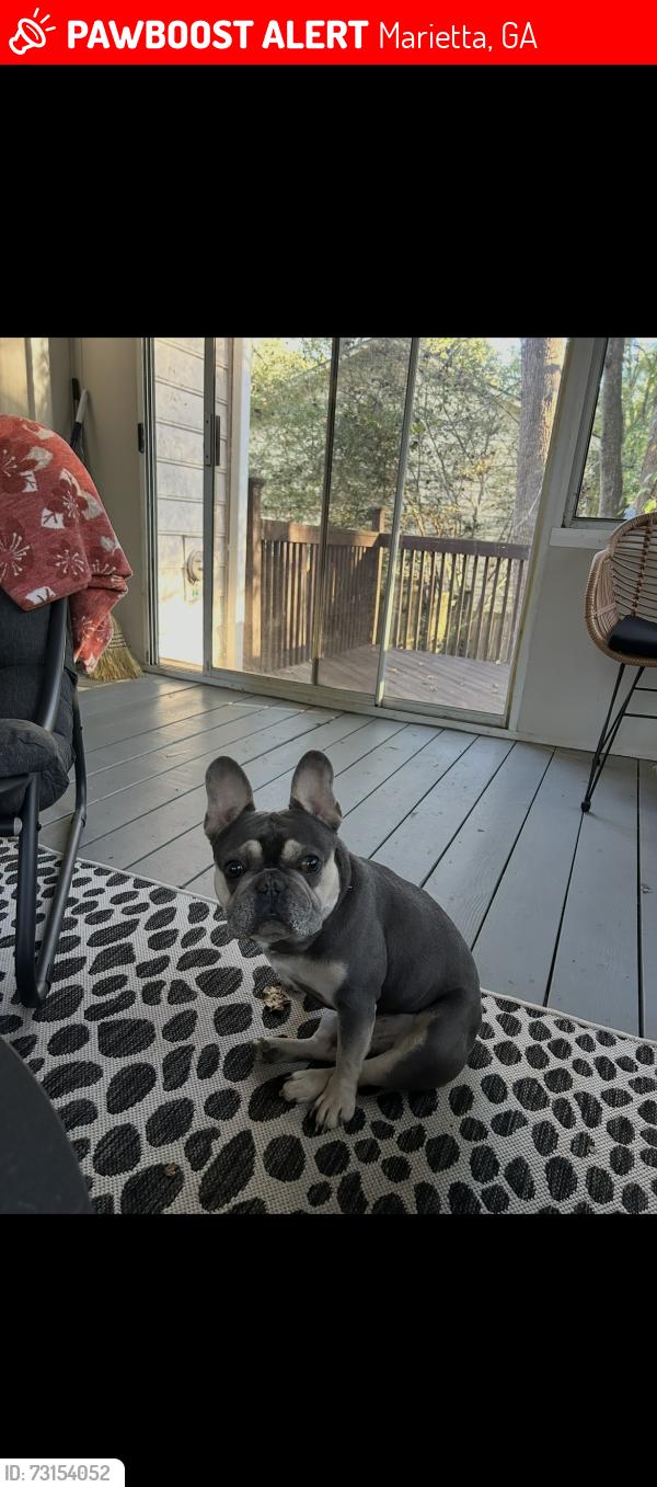 Lost Male Dog last seen Bankstone dr sw, Marietta, GA 30064
