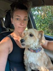 Reunited Male Dog last seen Stonegate Farms, Huntersville, NC 28078