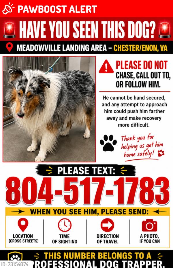 Lost Unknown Dog last seen James Overlook Court, Chesterfield County, VA 23836