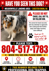 Lost Unknown Dog last seen James Overlook Court, Chesterfield County, VA 23836