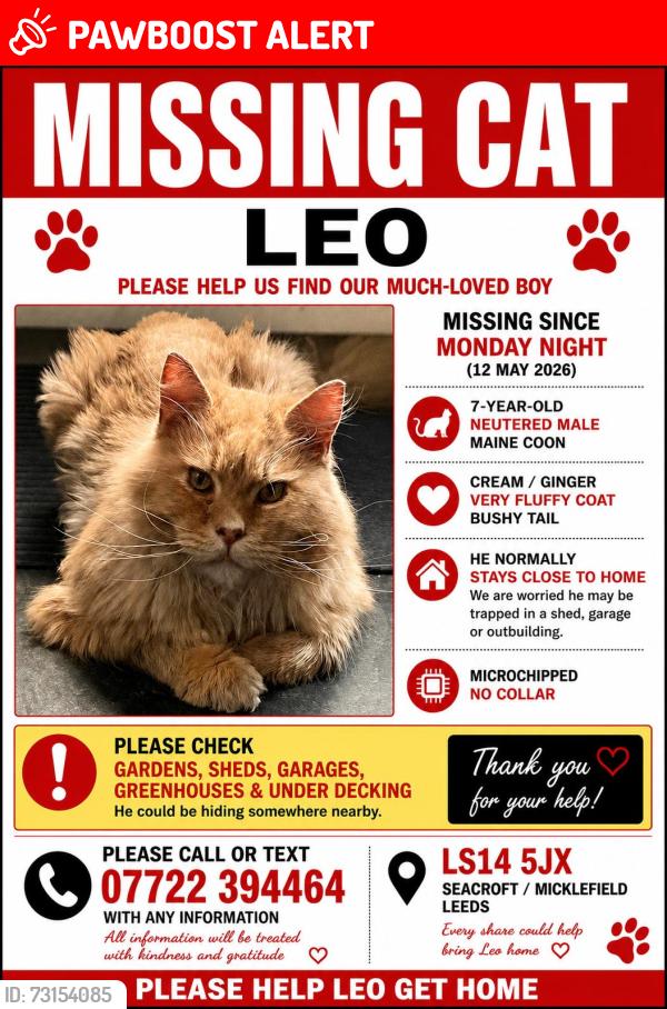 Lost Male Cat last seen Swarcliffe drive, West Yorkshire, England LS14 5JX