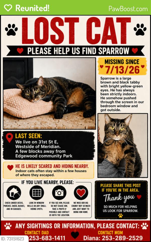 Reunited Male Cat last seen 31st ST E , Westside of Meridian. Two blocks away from edgewood community Park, Edgewood, WA 98371