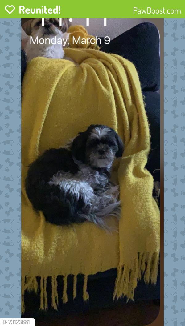 Reunited Male Dog last seen Running River Rd., Henderson, Henderson, NV 89074