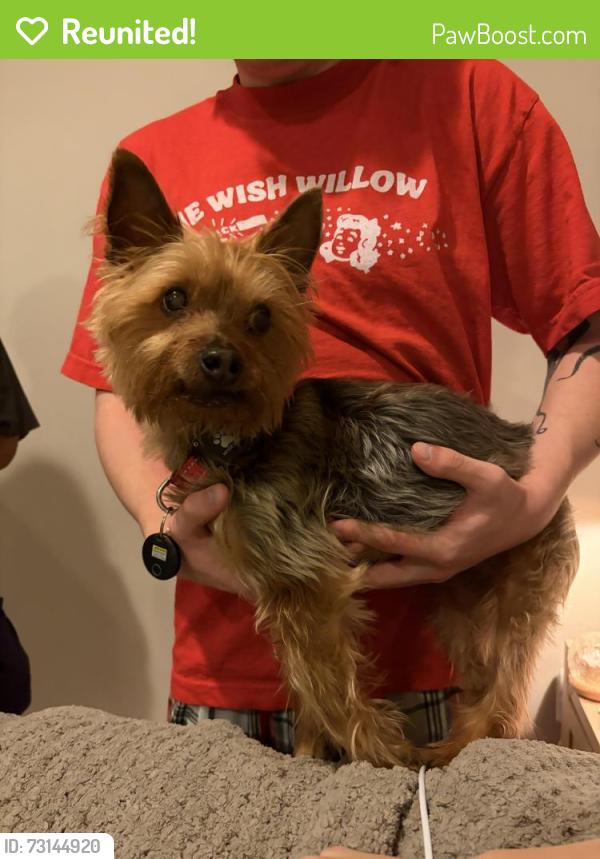 Reunited Male Dog last seen Stratford Landing Dr and Richland Grove Dr, Brambleton, VA 20148