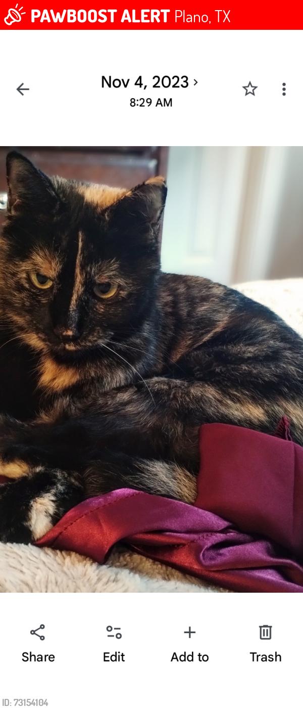 Lost Female Cat last seen North pittman Creek neighborhood, Plano, TX 75074