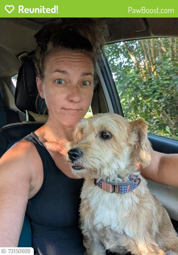 Reunited Male Dog last seen Stonegate Farms, Huntersville, NC 28078