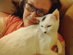 Lost Male Cat last seen NE Schuyler, Portland, OR 97212