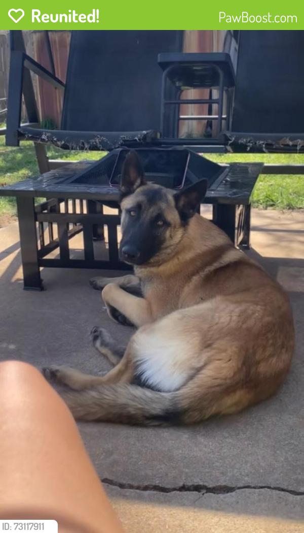 Reunited Male Dog last seen Sherri's Diner or SW 59th/Walker Ave., Oklahoma City, OK 73102