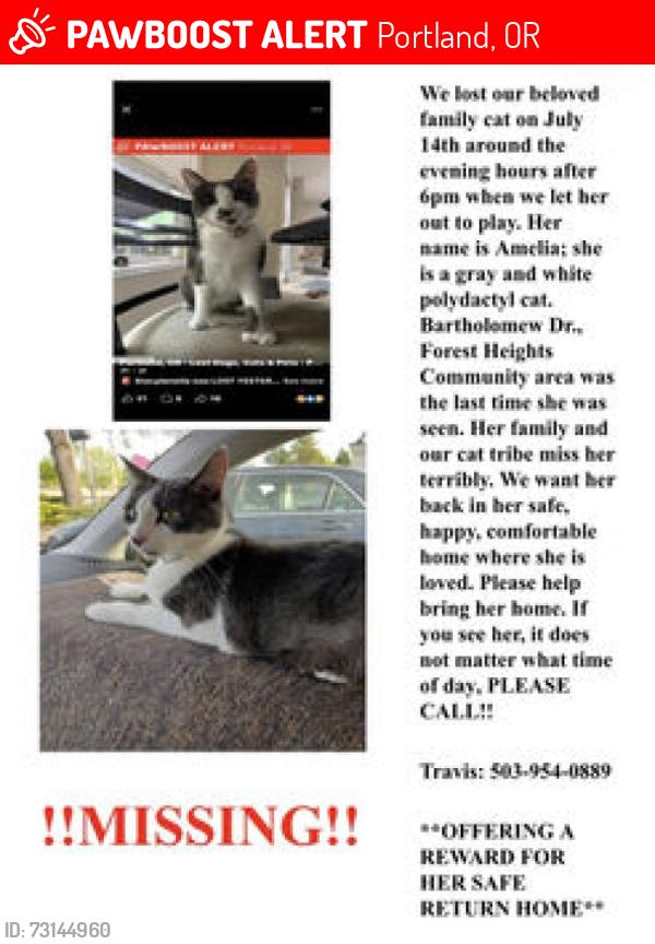 Lost Female Cat last seen Bartholomew dr, Portland, OR 97229