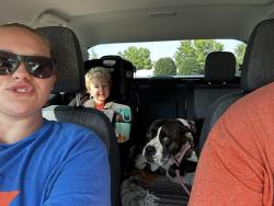 Reunited Female Dog last seen Spinx on the corner of Locust Hill Road and Old Rutherford Road, Taylors, SC 29687