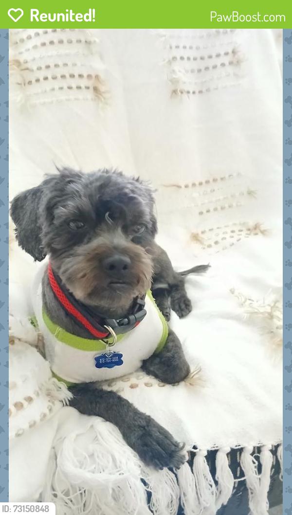 Reunited Male Dog last seen Near Graves st, Brixton Apts., mckinney tx, McKinney, TX 75069