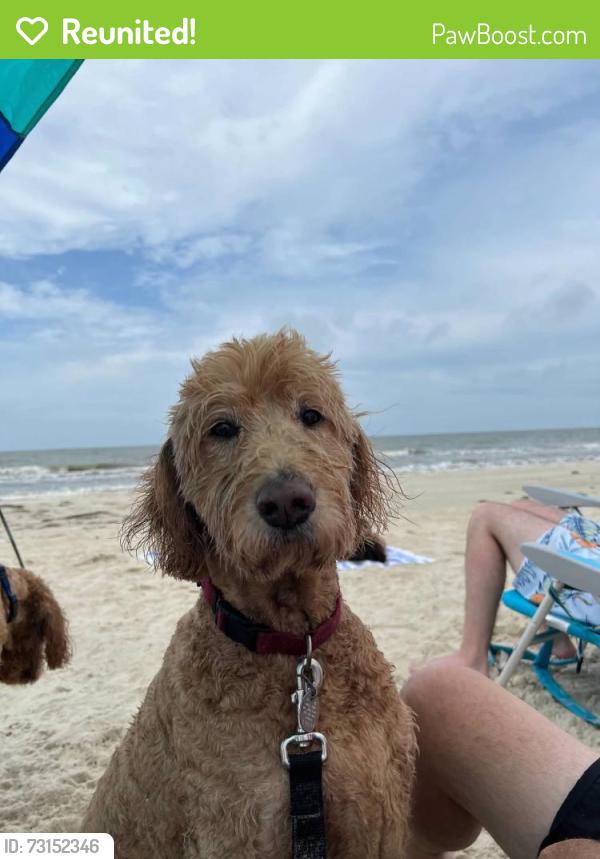 Reunited Female Dog last seen Near Garrison Trail, Canton, GA 30115