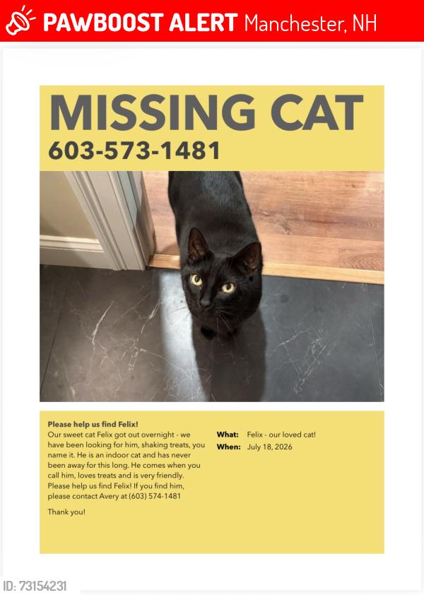 Lost Male Cat last seen Near Maryland Avenue, Manchester NH, Manchester, NH 03104