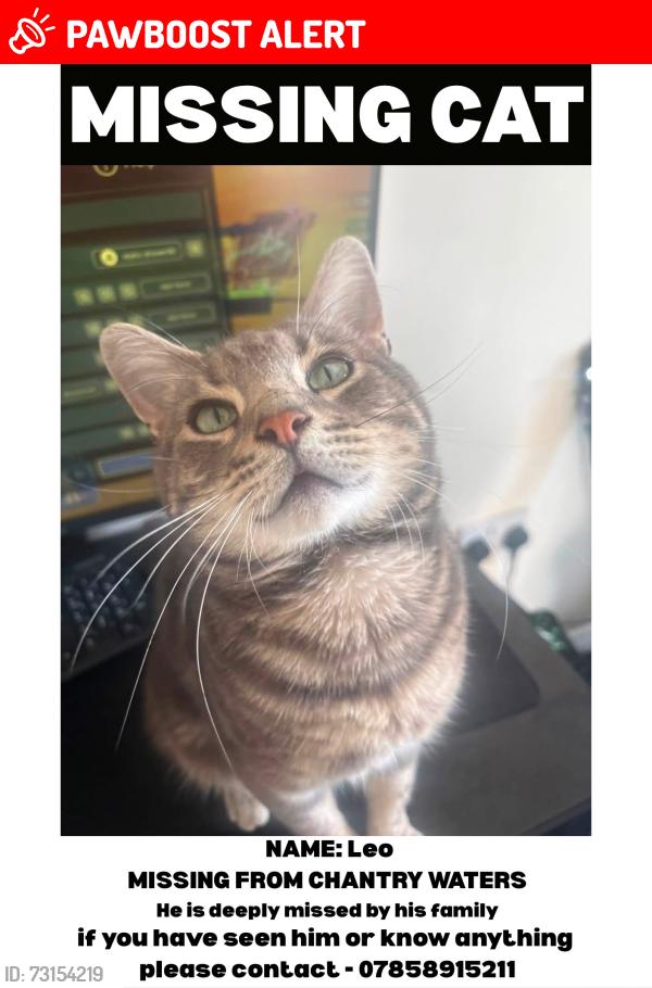 Lost Male Cat last seen Hepworth Wakefield, West Yorkshire, England WF1 5ED