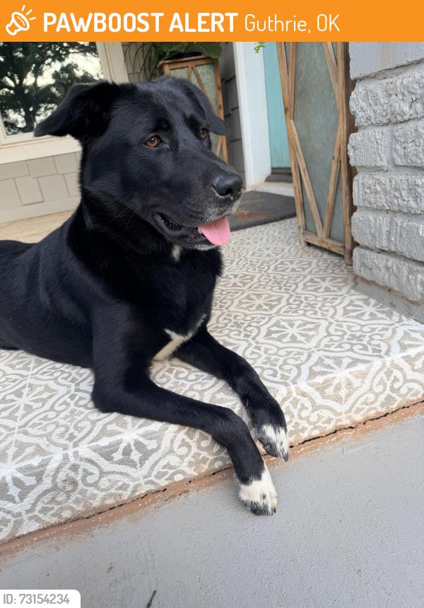 Found/Stray Female Dog last seen Douglas x Simmons, Guthrie, OK 73044