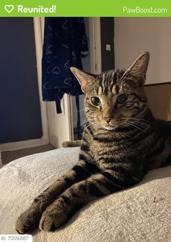 Reunited Male Cat last seen Thirlmere gardens, Rickmansworth Rd, England 