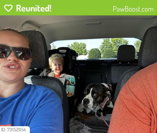 Reunited Female Dog last seen Spinx on the corner of Locust Hill Road and Old Rutherford Road, Taylors, SC 29687