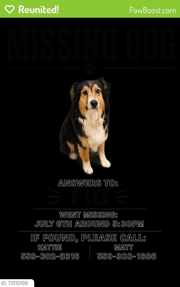 Reunited Female Dog last seen Road 180 and ave 208, Tulare County, CA 93267