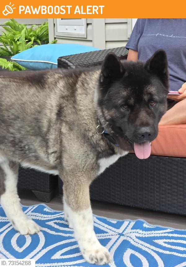 Found/Stray Unknown Dog last seen Near Highland Crescent Sherwood Park, Sherwood Park, AB T8A 5N8