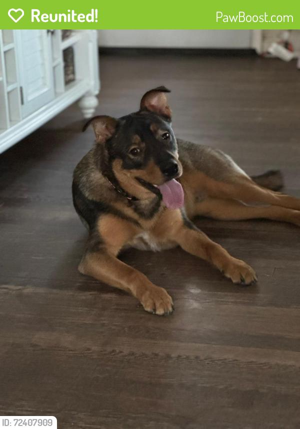 Reunited Male Dog last seen Near woodman rd, Glen Allen, VA 23060