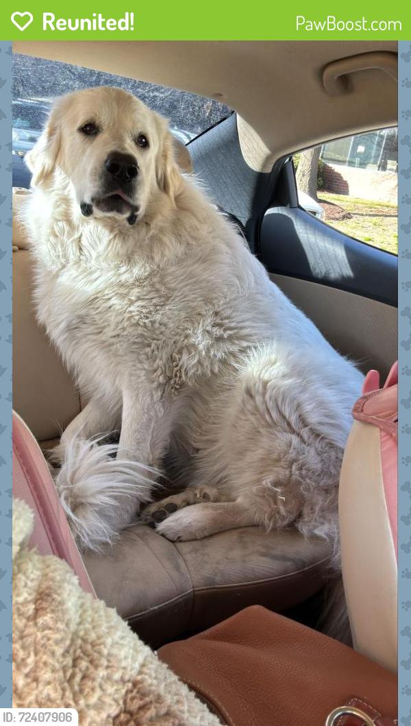 Reunited Male Dog last seen Mountain road, Glen Allen, VA 23060