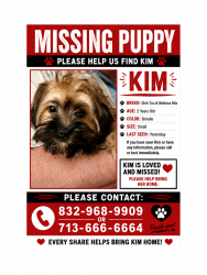 Lost Female Dog last seen Fournace and Wedgewood Dr, Bellaire, TX 77401