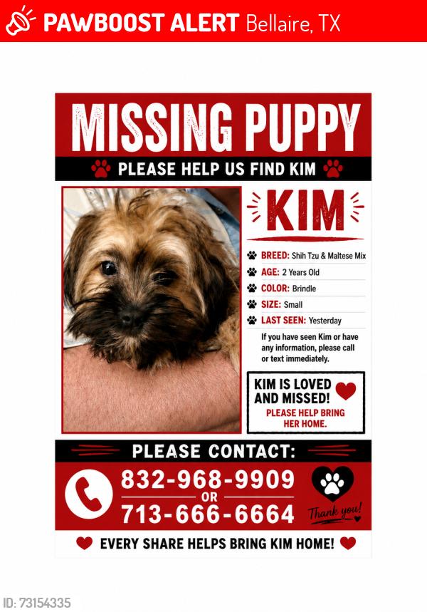 Lost Female Dog last seen Fournace and Wedgewood Dr, Bellaire, TX 77401