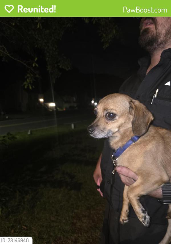 Reunited Female Dog last seen Glenwoods drive, Riverdale, GA 30274