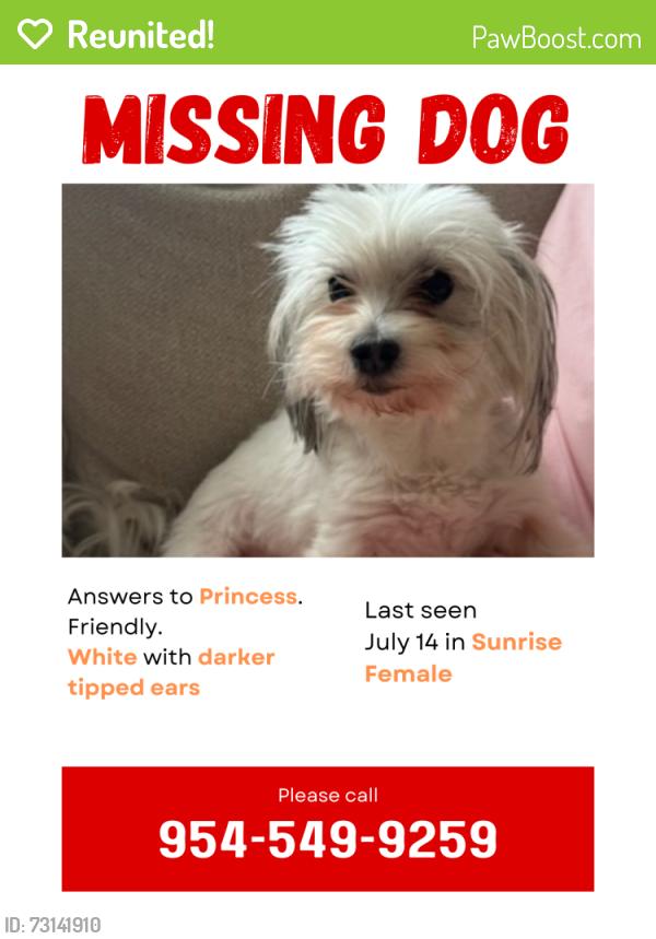 Reunited Female Dog last seen NW 59th Way and NW 19th Street by Royal Palm Elementary School, Sunrise, FL 33313