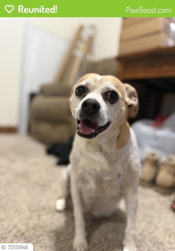 Reunited Female Dog last seen Near Firestone blvd., Longmont, CO 80504
