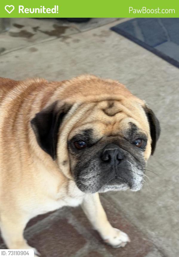 Reunited Male Dog last seen Meridian and Washington st., San Jacinto, CA 92583