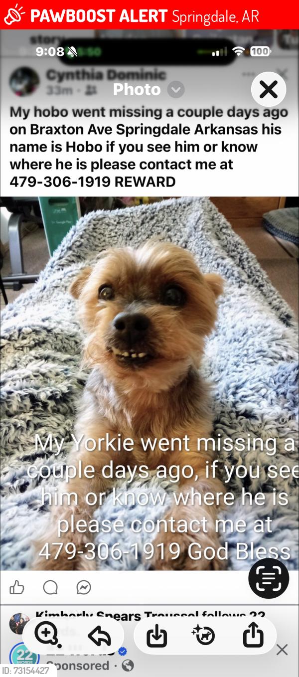Lost Male Dog last seen Braxton and Wilson, Springdale, AR 72764